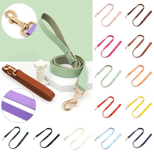 Vibrant leather dog lead for - dog,