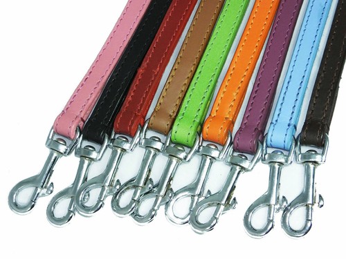 Leather dog leads - leather,