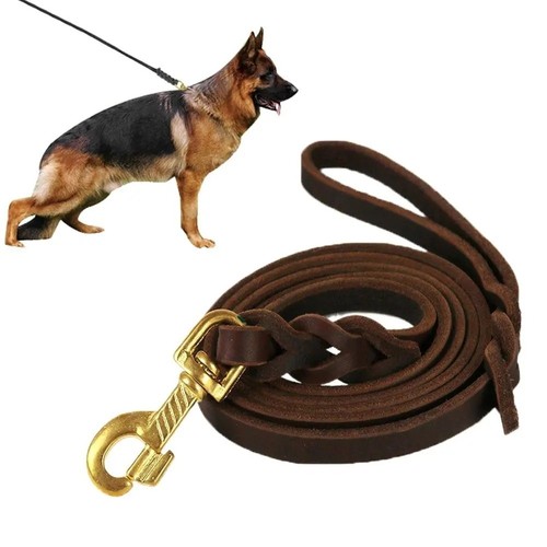 Genuine leather braided dog - genuine,
