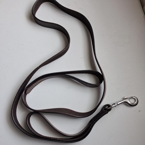 Elite pet shop 6ft - shop,