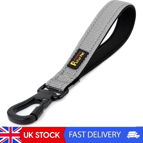 Short dog lead with padded - lead,