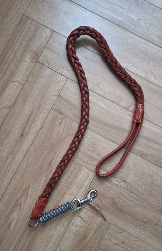 Brown leather dog lead - dog,