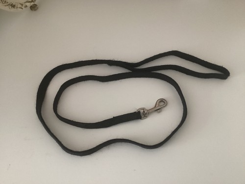 Black small dog lead - dog,