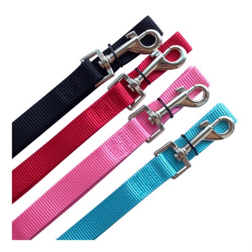 Nylon dog lead puppy - lead,