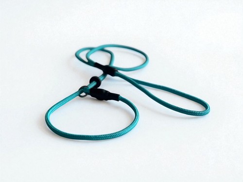 Handmade dog slip - dog, lead