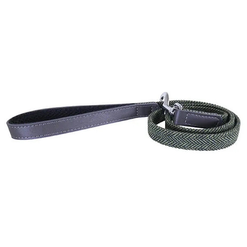 Luxury leather dog - luxury,