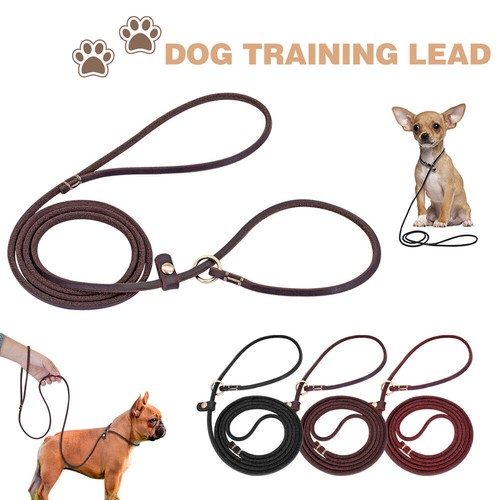 Leather dog show slip - dog, lead