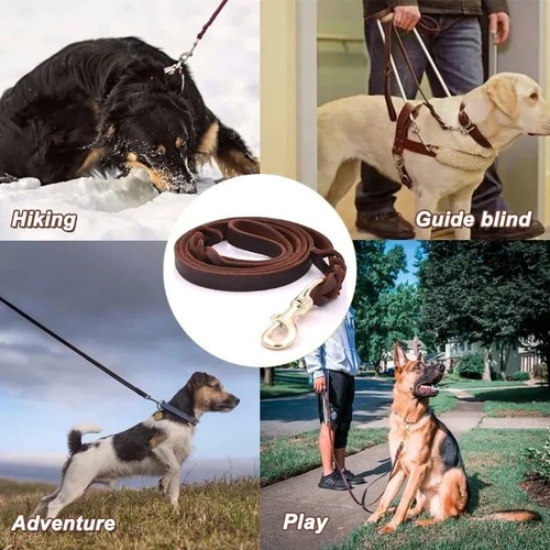 Genuine leather dog lead heavy - leather,