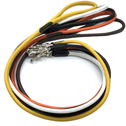 Dog lead rolled leather - dog,