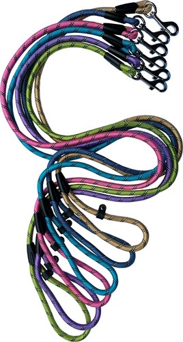 Dog economy rope - economy,