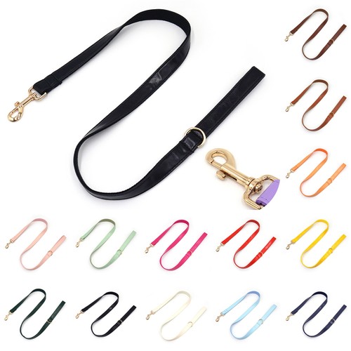 Vibrant leather dog lead for - vibrant,