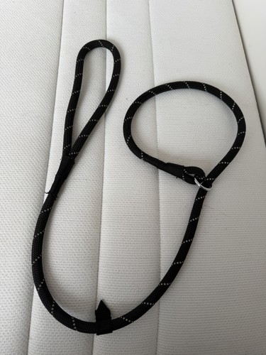 Puppy lead durable - puppy,