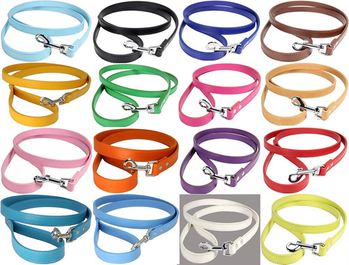 Vibrant leather dog - vibrant,