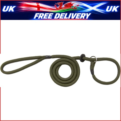 Basic dog slip lead - slip,