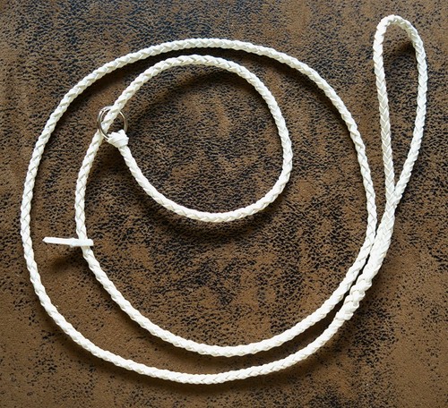 Dog show lead braided - dog,