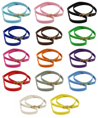 Vibrant genuine leather dog - leather,