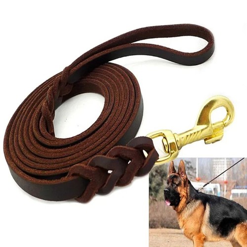 Genuine leather dog - genuine,