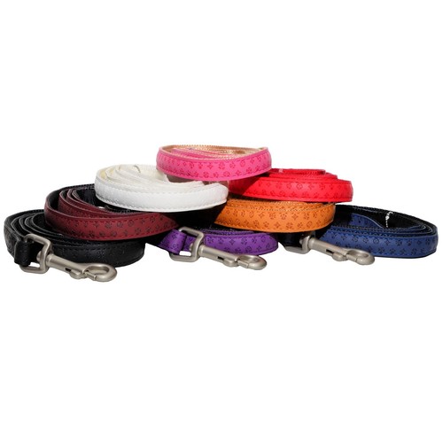 Dog puppy lead - dog,