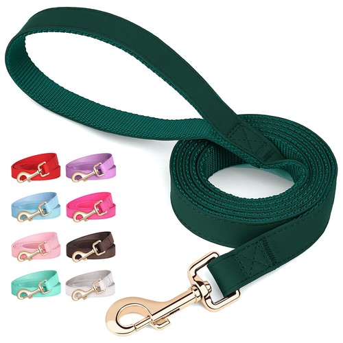 Durable leather dog - leather, with