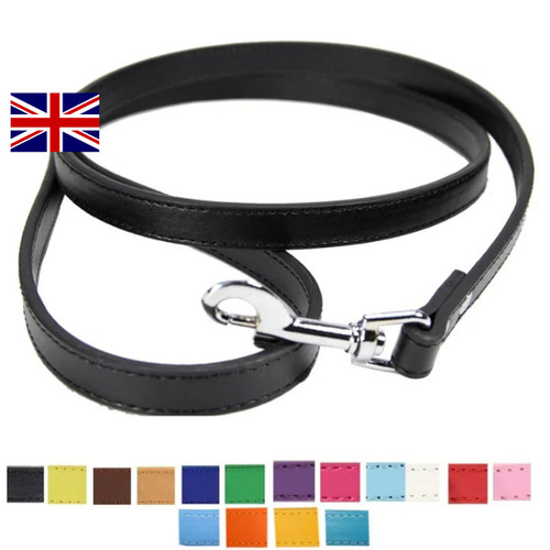 Vibrant leather dog lead - vibrant, for