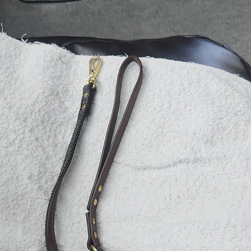 Brown dog lead - brown, lead.