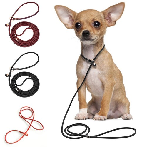 Leather dog slip - leather, lead