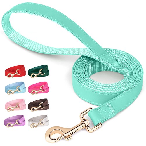 Strong leather dog - strong, pu
