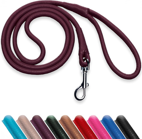 Rolled leather dog lead 6ft - dog,