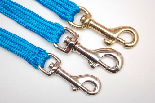 Blue dog lead - dog, hand