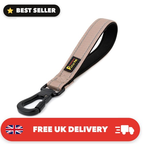 Short dog lead with - short,
