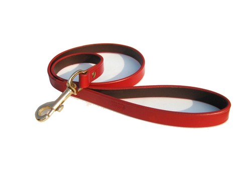 Leather dog lead - leather,