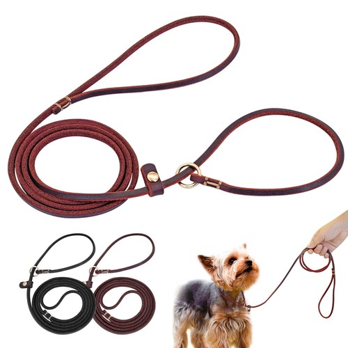 Genuine leather dog slip lead - dog,