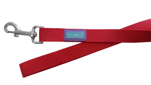 Dog nylon - nylon, dogs